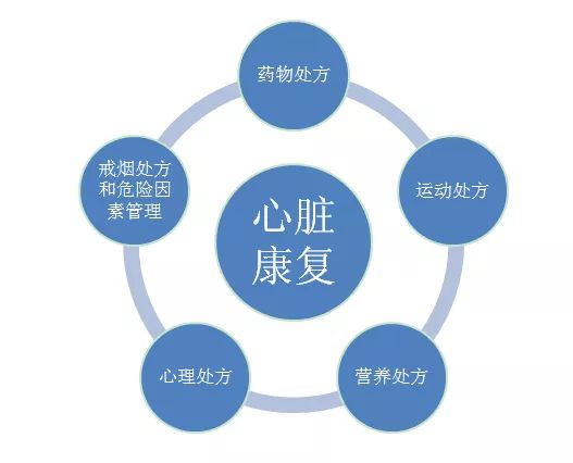 世界物理治療日 | 心臟支架或搭橋術后，科學運動是康復關鍵